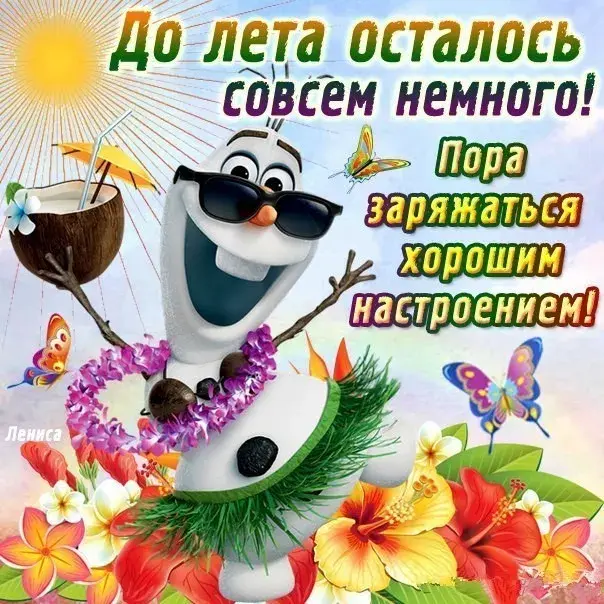 Открытка времена года - Олег с кокосом и бабочками: летняя открытка | Красивая открытка #23