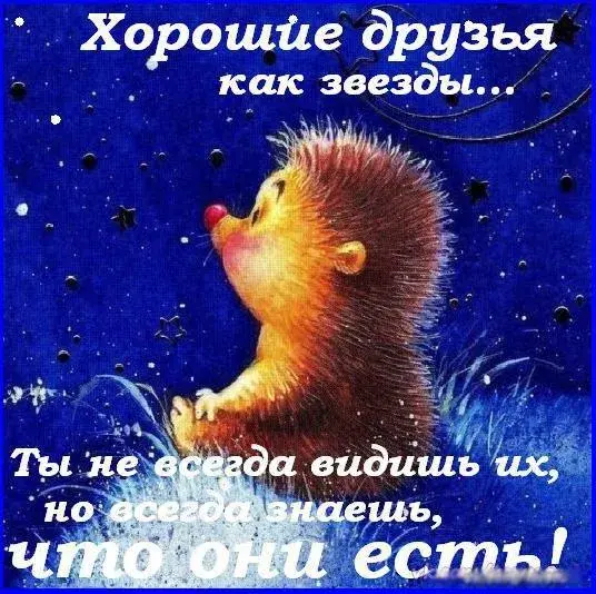 Открытка Открытки о дружбе - Ежик на открытке: милая поздравительная открытка | Красивая открытка #86