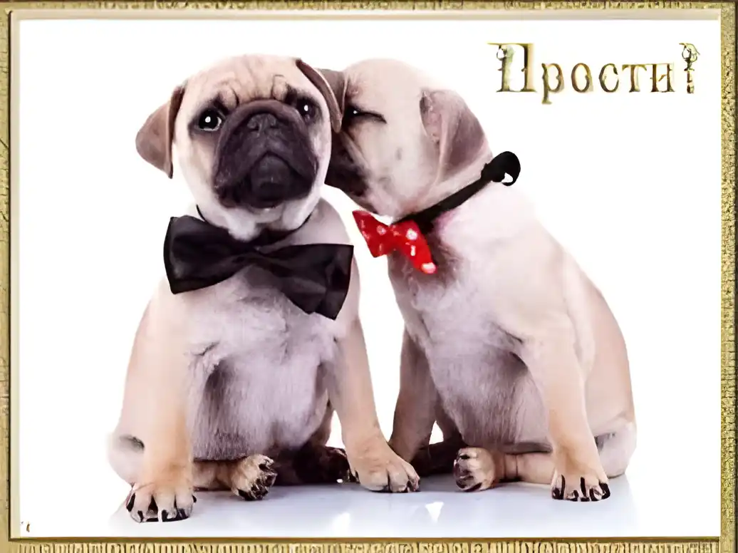 Открытка Прости - Открытка с щенками в бабочках: Милые пёс и пёс | Красивая открытка #57