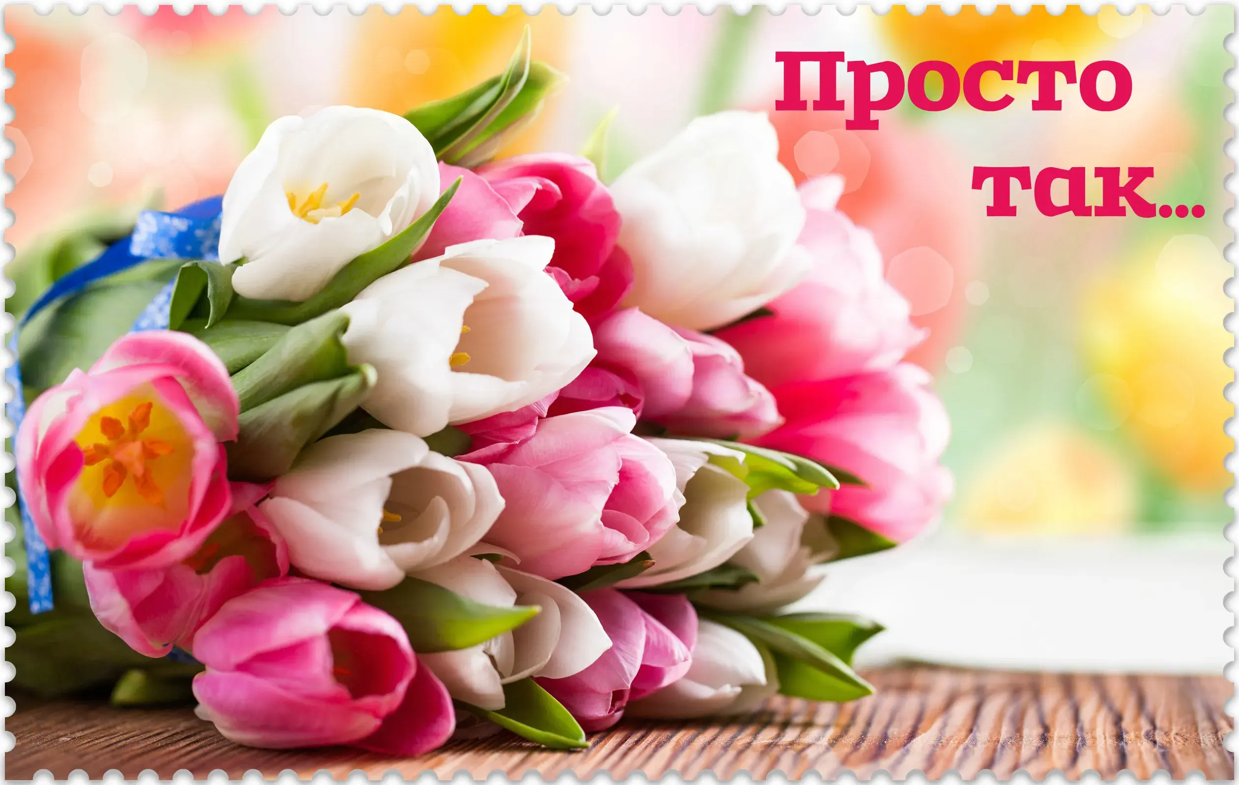 Открытка Просто так - Букет тюльпанов: розовые и белые цветы | Красивая открытка #50