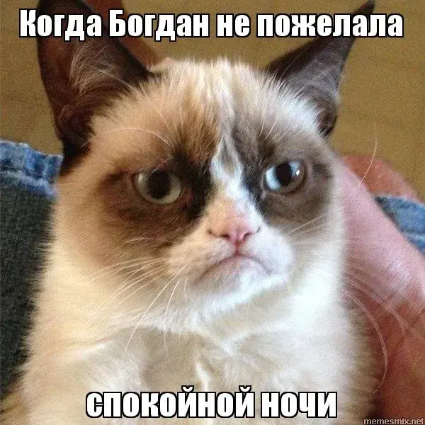 Открытка открытки с именем Богдан - Серьезный кот желает спокойной ночи | Красивая открытка #226