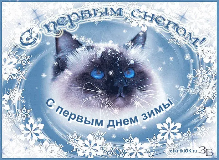 Открытка Первый день зимы - Открытка с котенком на фоне снежинок. | Красивая открытка #18