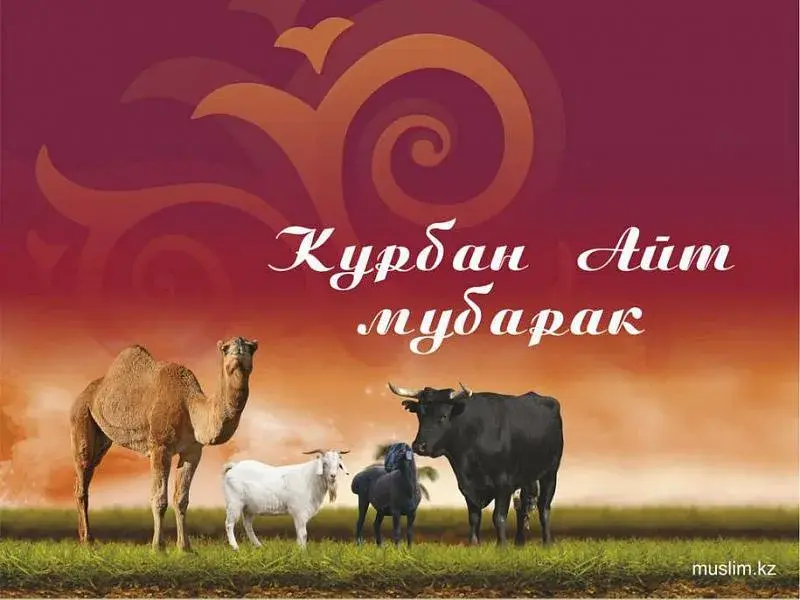 Открытка Курбан Айт - Открытка Курбан-Айт: верблюд, коза и бык | Красивая открытка #21
