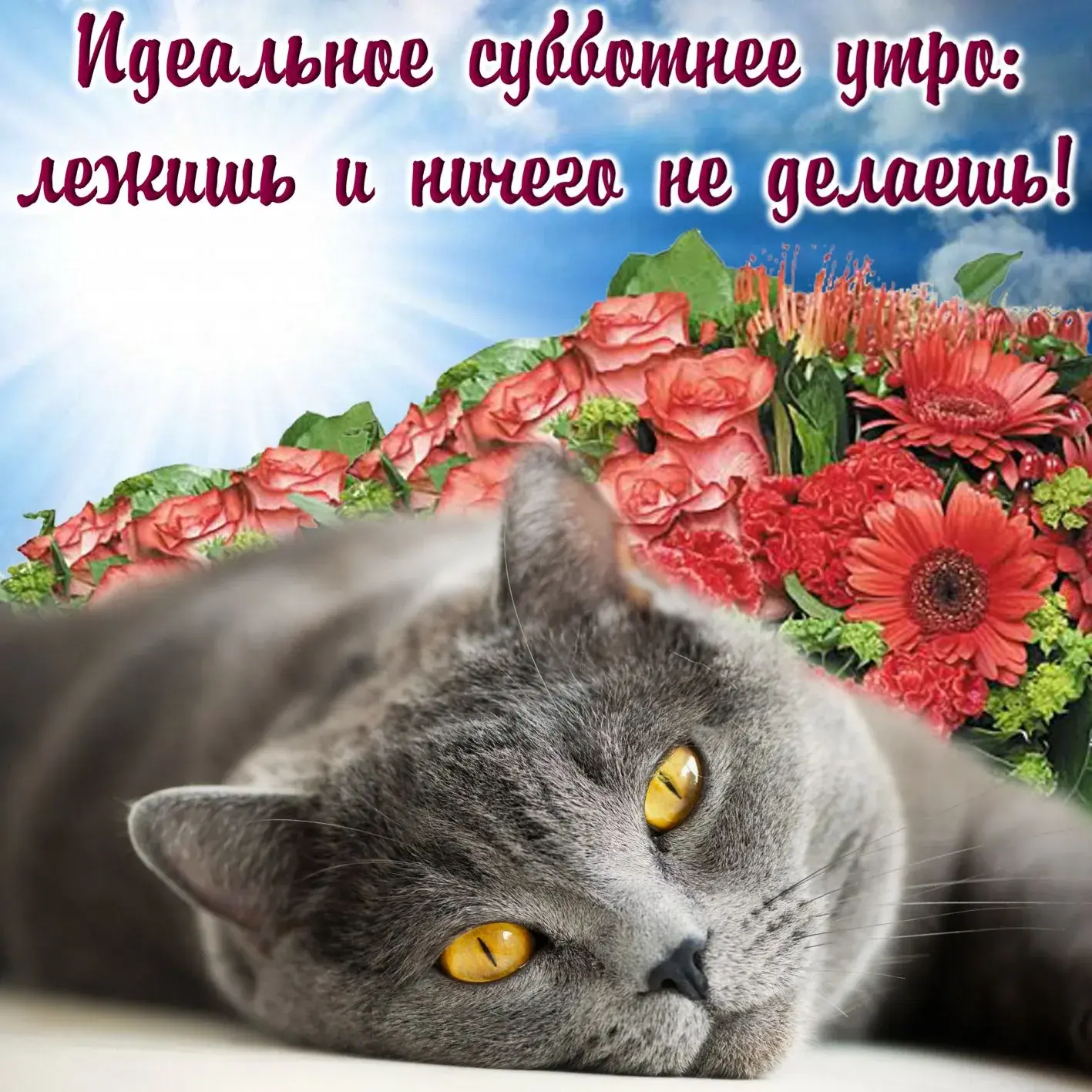 Открытка Доброе утро суббота - Котенок и цветы: милая открытка с котиком | Красивая открытка #34