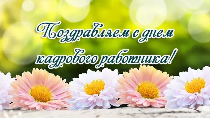Открытка День кадровика - Открытка с нежными ромашками | Красивая открытка #34
