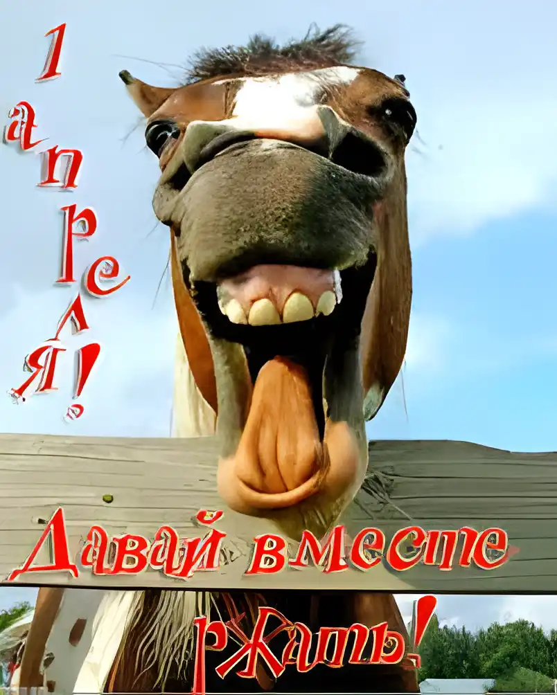 Открытка Открытки с 1 апреля - Лошадь, улыбка, открытка, природа, забавное поздравление | Красивая открытка #94