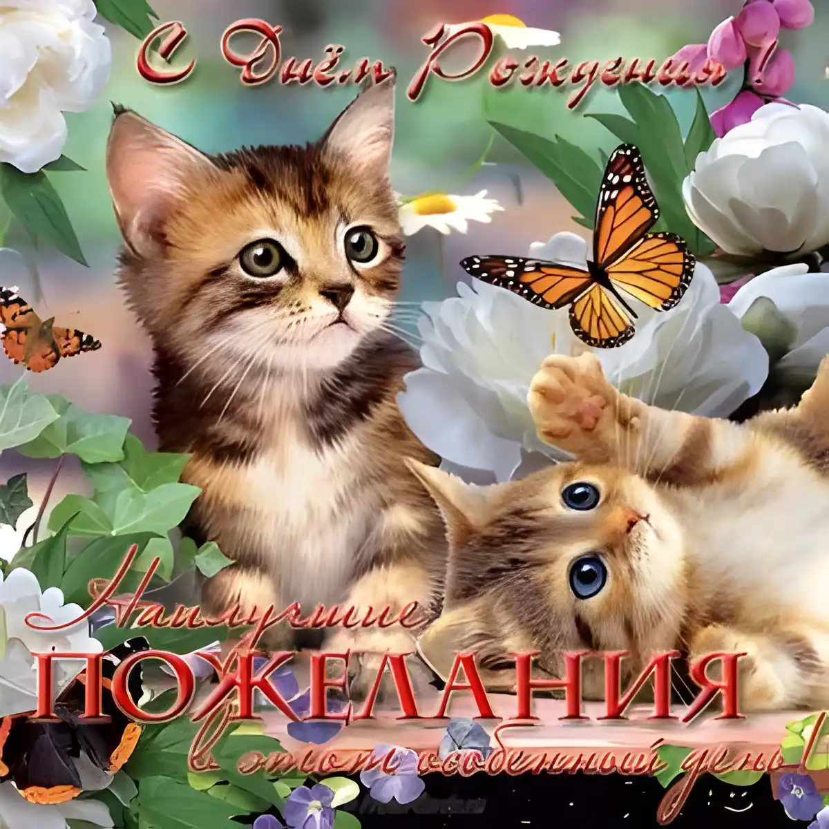 Открытка С кошками - Две кошки и цветы: открытка с котятами и пионами | Красивая открытка #57