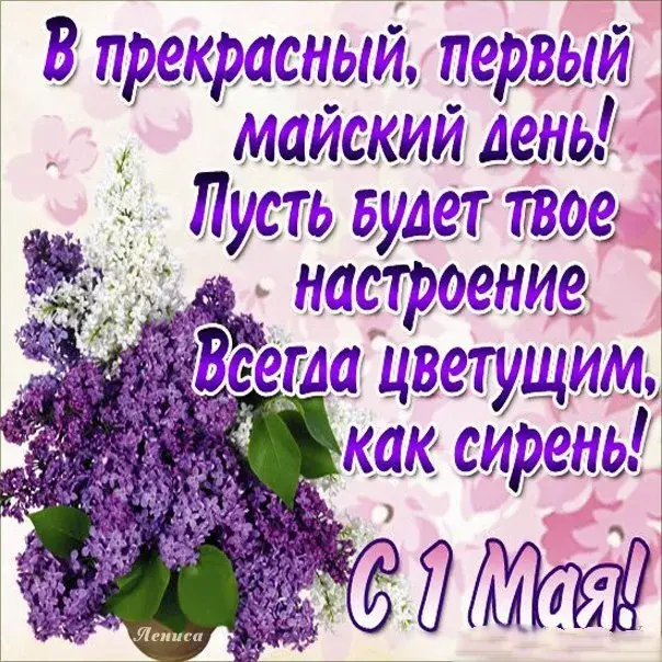 Открытка 1 мая - С Днем рождения! С 1 мая! | Красивая открытка #267