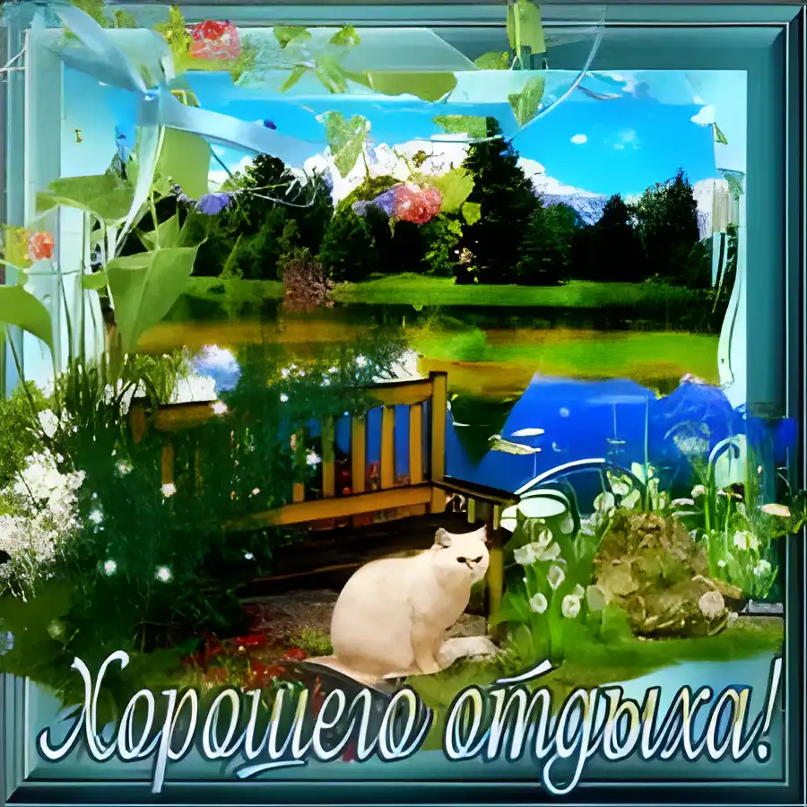 Открытка Открытки хорошего лета - Открытка с котиком на природе: река, цветы, деревья | Красивая открытка #60