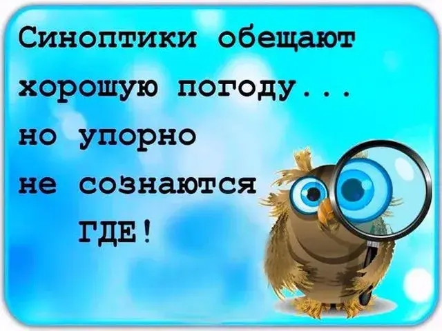 Открытка о погоде - Открытка с совой в очках | Красивая открытка #22