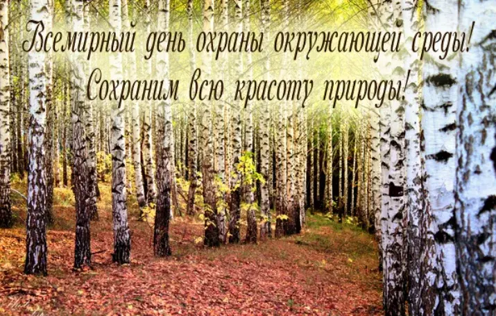 Открытка Всемирный день окружающей среды - Осенний лес: золотые деревья, яркие краски | Красивая открытка #9