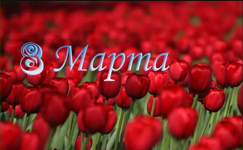 Открытка 8 марта - Поле красных тюльпанов: красивые цветы для открытки | Красивая открытка #329