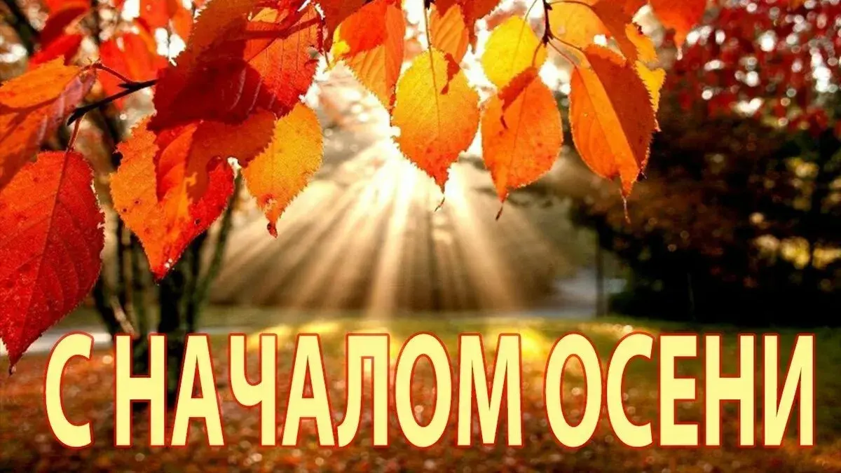 Открытка С первым днём осени - СНАЛОМ ОСЕНИ | Красивая открытка #35