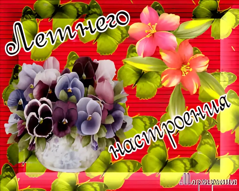 Открытка Открытки хорошего настроения - Открытка с фиалками и красными цветами | Красивая открытка #201