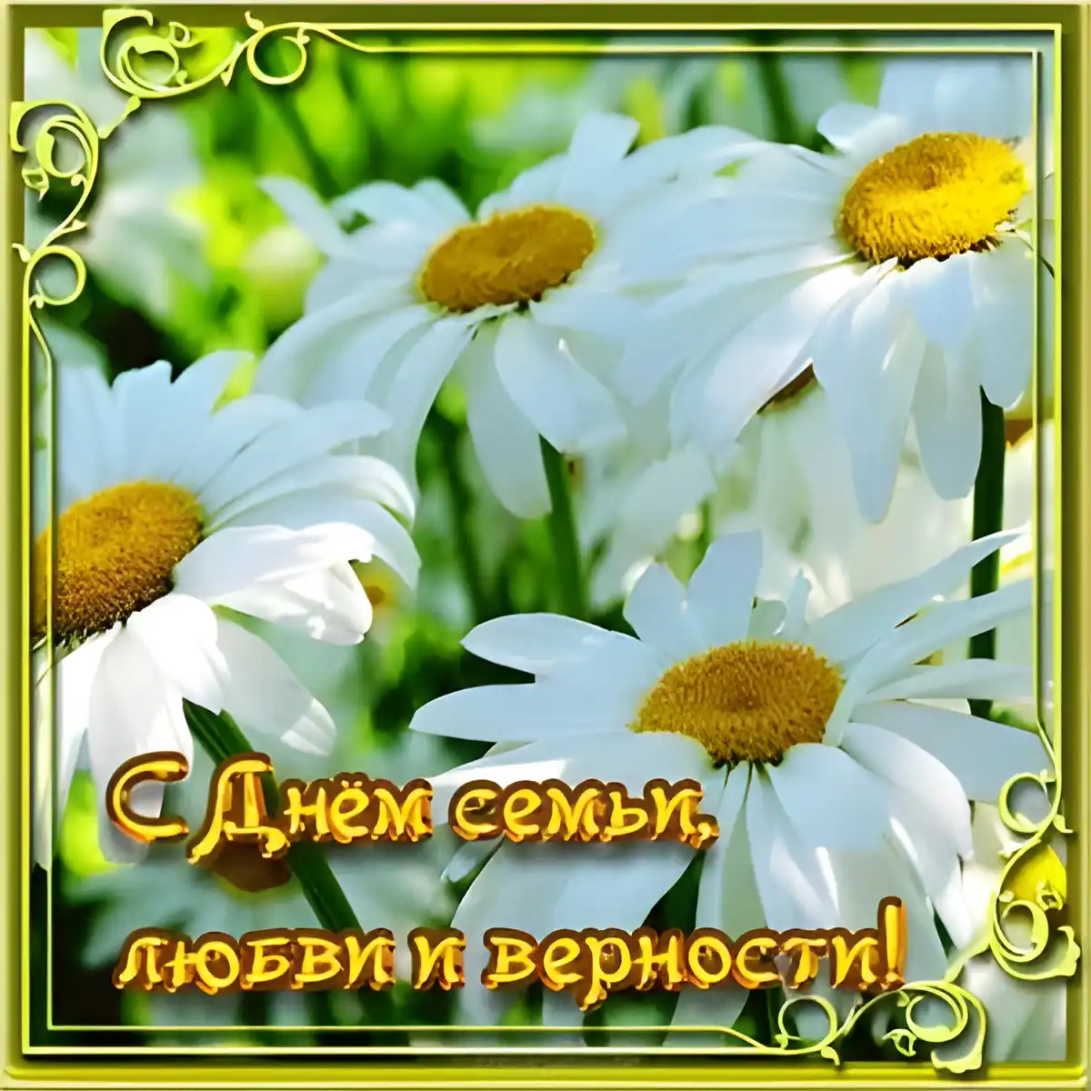 Открытка День семьи - Открытка "С Днём семьи, любви и верности" с белыми цветами | Красивая открытка #25