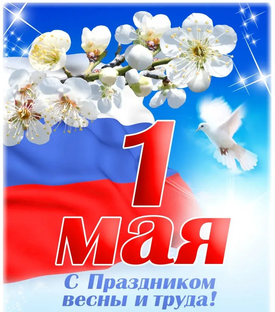 Открытка 1 мая - Праздник 1 мая: Открытка с цветами и голубем | Красивая открытка #154
