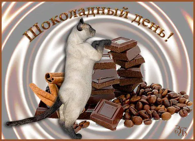 Открытка День шоколада - Кошка и шоколад: открытка с кофе и специями | Красивая открытка #90