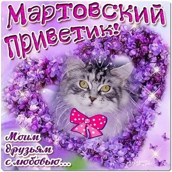 Открытка Март - Открытка с котиком и фиолетовыми цветами | Красивая открытка #2