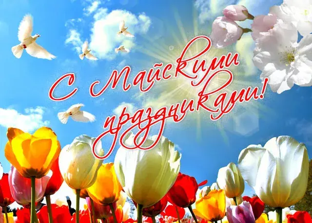 Открытка 1 мая - Цветы, голуби, голубое небо. Праздничная открытка. | Красивая открытка #153