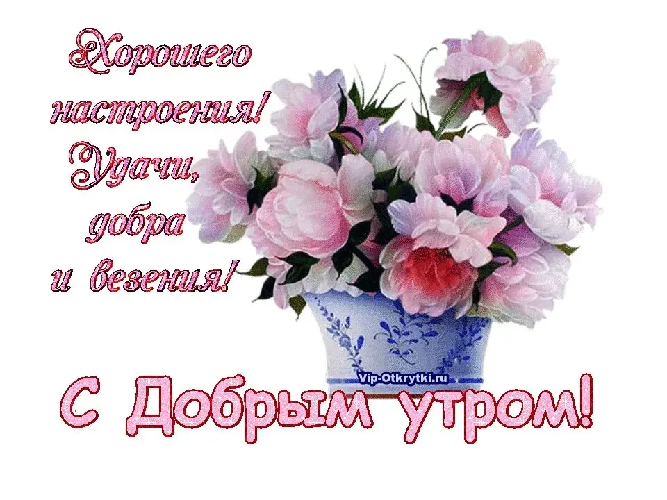 Открытка открытки с добрым утром - Доброе утро! Открытка с цветами - Vip-otkrytki.ru | Красивая открытка #319