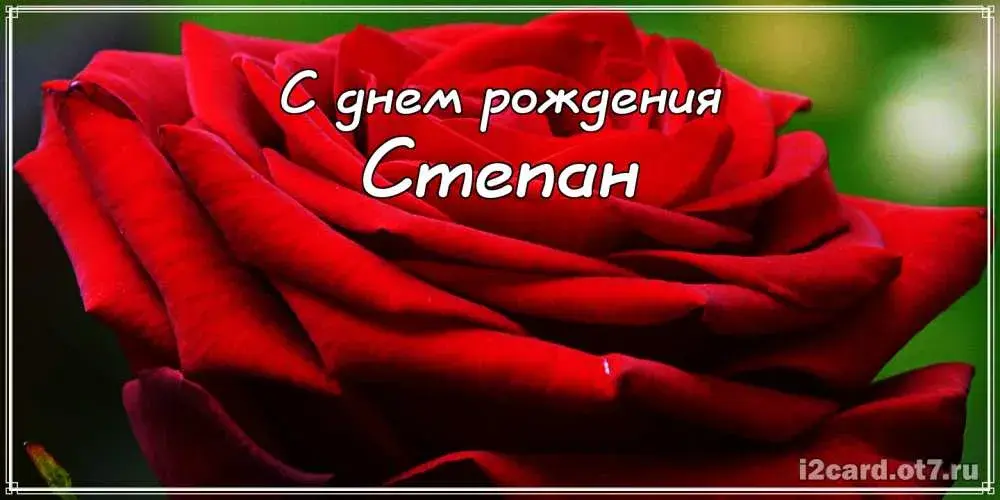Открытка Открытки с именем Степан - Красная роза: открытка с днем рождения | Красивая открытка #251