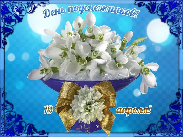 Открытка С днём подснежника - Подснежники: Красивая открытка с цветами | Красивая открытка #63