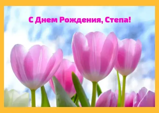 Открытка Открытки с именем Степан - Розовые тюльпаны на голубом фоне | Красивая открытка #262