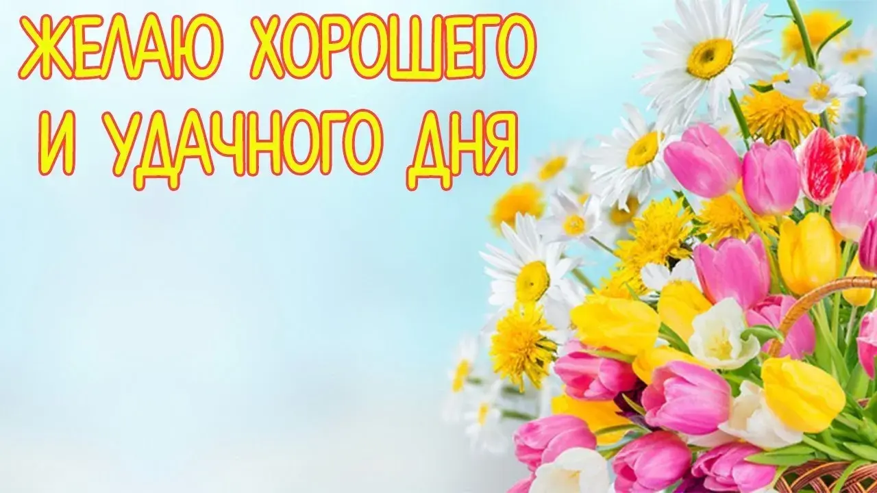 Открытка Хорошего дня - Открытка с цветами в корзине | Красивая открытка #54