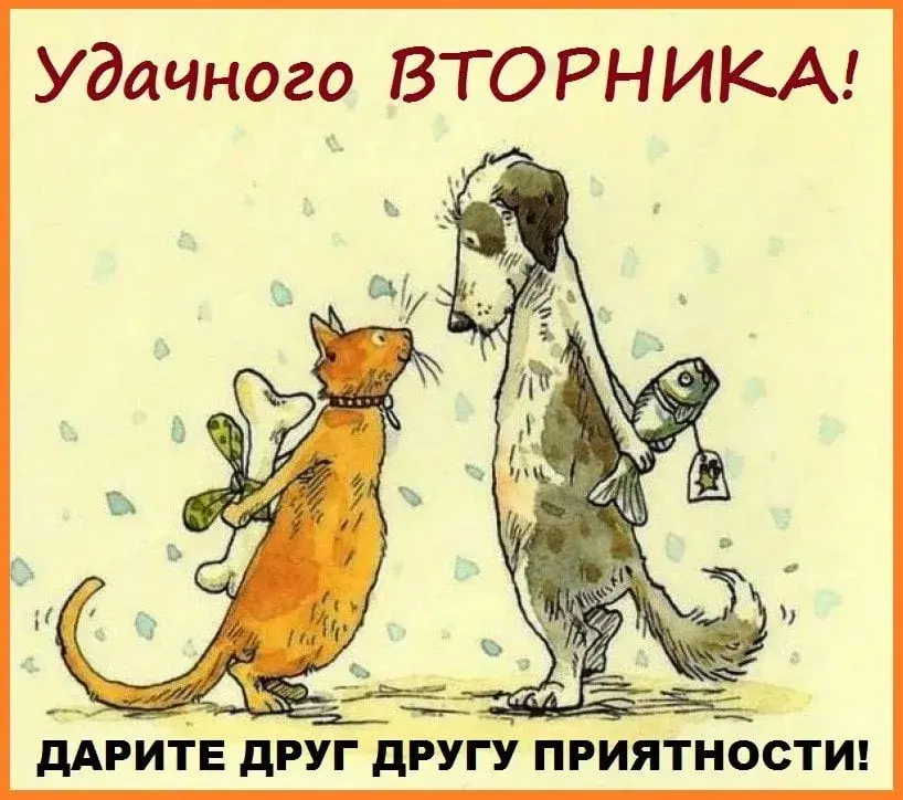 Открытка Открытки на вторник - Рыбак-кот и пес: смешная открытка с рыбой | Красивая открытка #221