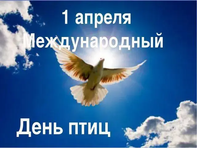 Открытка С днём птиц - Открытка с голубем в полете | Красивая открытка #17