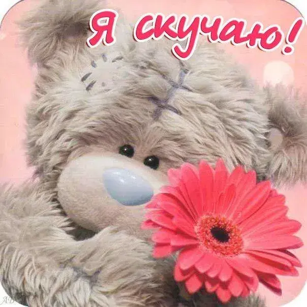 Открытка Открытки скучаю по тебе - Милый мишка и цветок: открытка с днем рождения | Красивая открытка #246