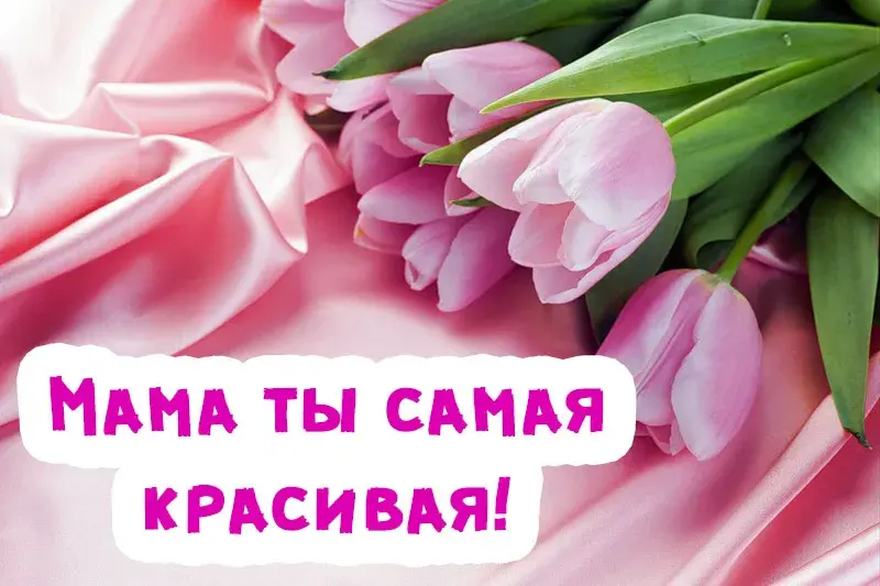 Открытка Для мамы - Букет тюльпанов: нежная открытка для мамы | Красивая открытка #7