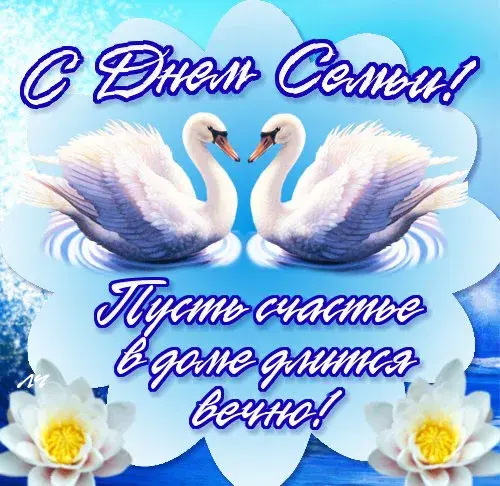 Открытка С лебедями - Открытка С Днём: Лебеди на воде | Красивая открытка #9