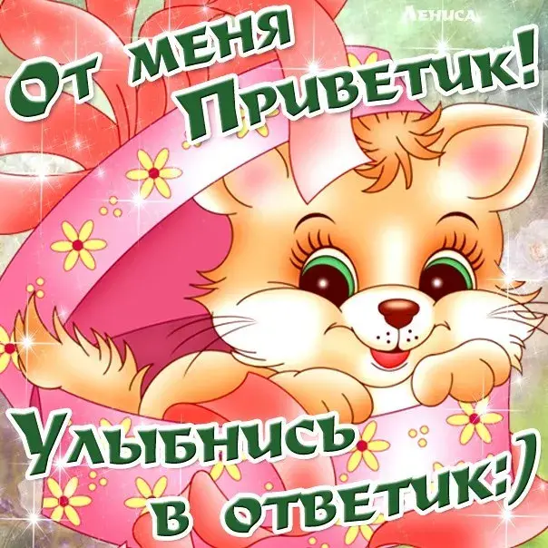 Открытка Привет - Открытка с котенком в шляпе | Красивая открытка #279