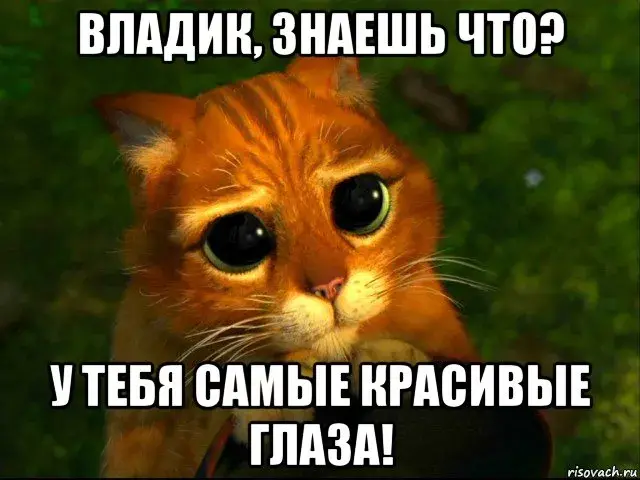 Открытка открытки с именем Владислав  - Милый кот: Открытка с глазками | Красивая открытка #245