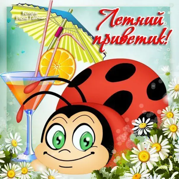 Открытка летний привет - Божьей коровки поздравления с летом и цветами | Красивая открытка #15