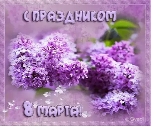 Открытка С сиренью - Открытка с сиренью ко дню 8 марта | Красивая открытка #200