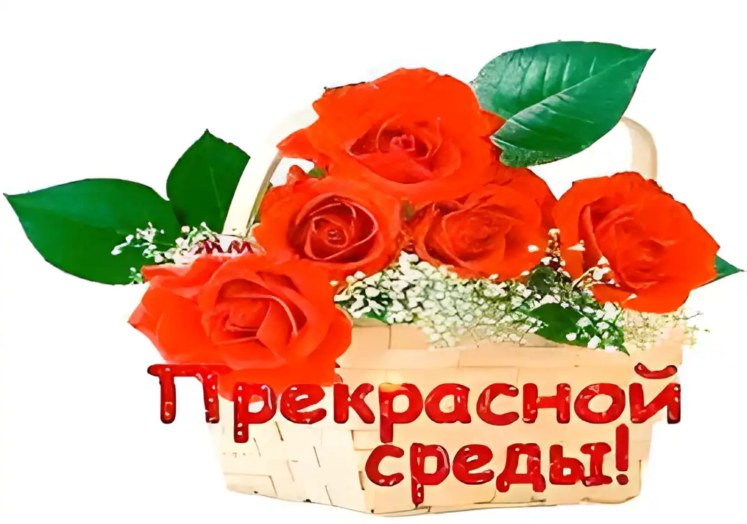 Открытка Открытки на среду - Букет красных роз в плетёной корзинке | Красивая открытка #68