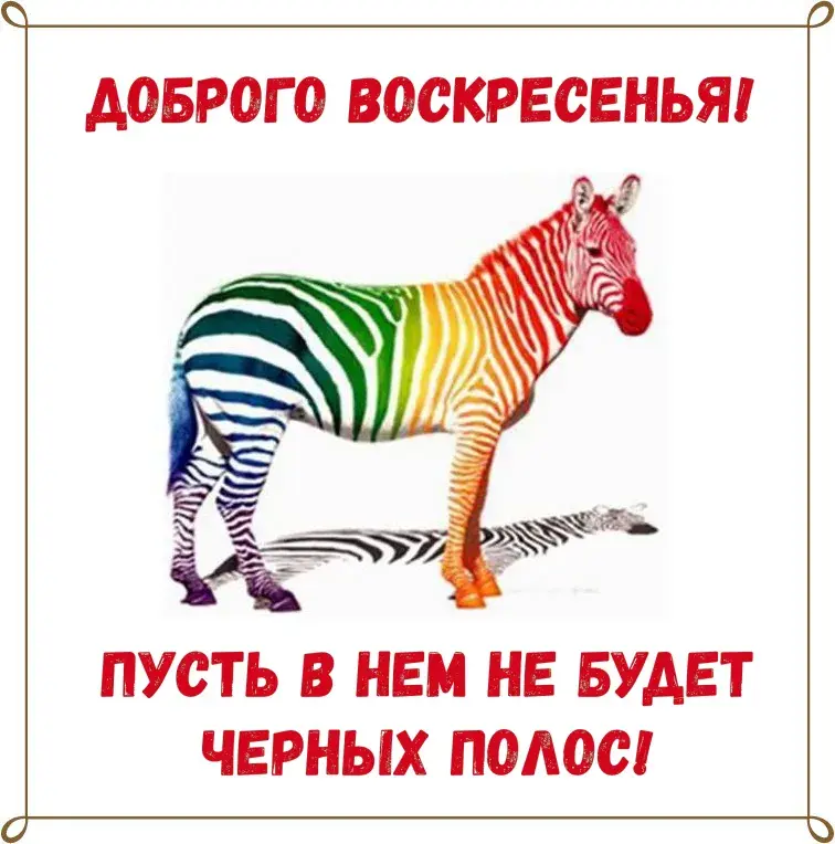 Открытка Открытки на воскресенье - Радужные зебры: оригинальная открытка | Красивая открытка #117