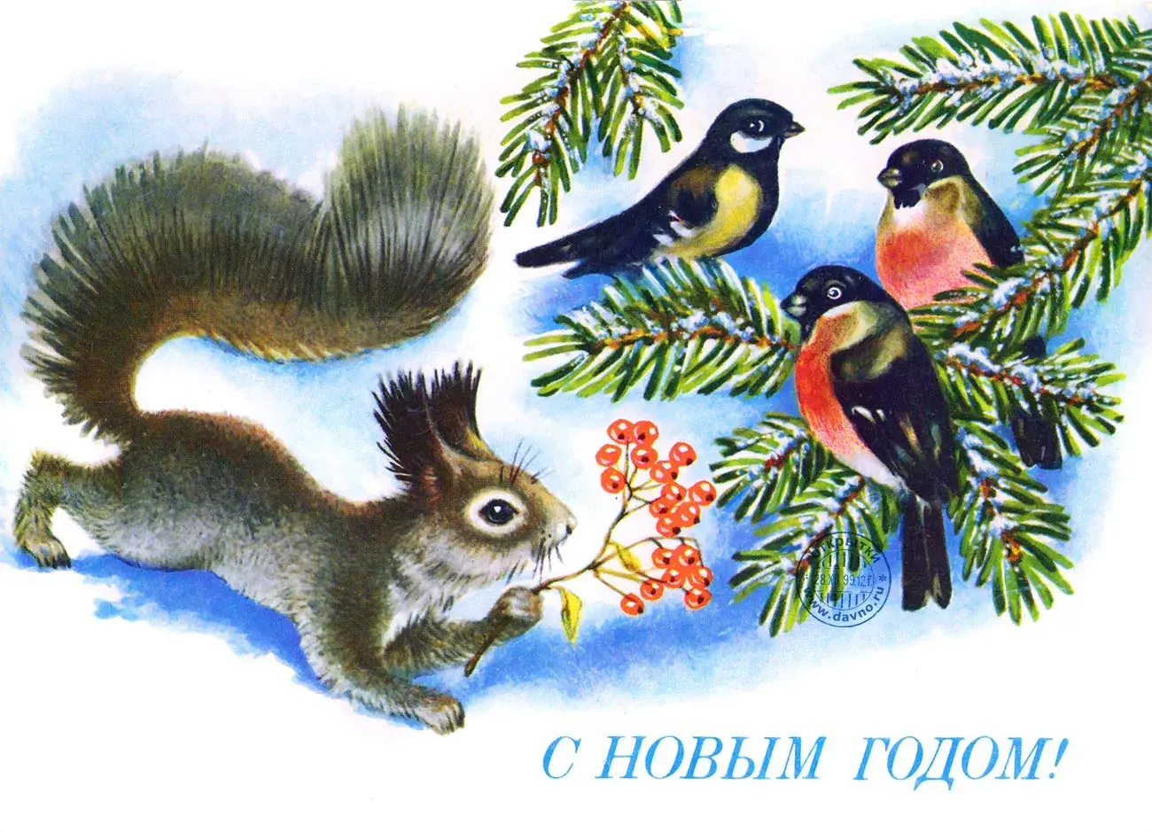 Открытка С белочками - Белка с ягодами рябины на снегу. Новогодняя открытка | Красивая открытка #31