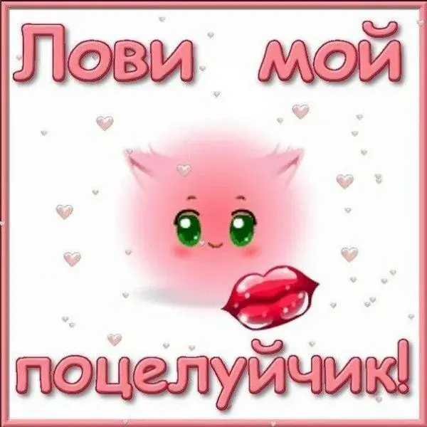 Открытка Поцелуи любимым - Открытка с милым котиком и поцелуем | Красивая открытка #9