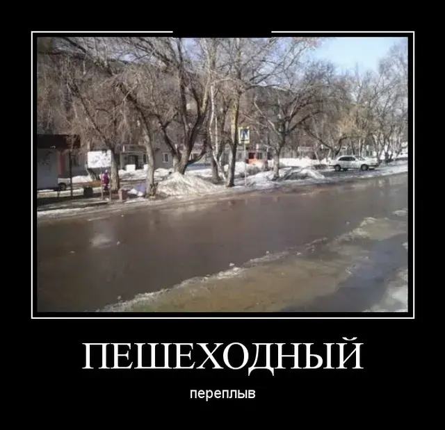 Открытка Демотиваторы - Зимний пейзаж: река под льдом, деревья и дома | Красивая открытка #9