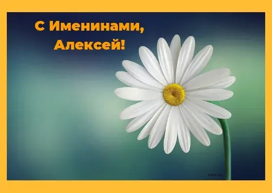 Открытка открытки с именем Алексей - Белая ромашка на фоне голубого неба. Открытка | Красивая открытка #220