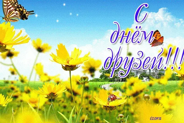 Открытка День друзей - Полевые цветы, бабочка, открытка с днем рождения | Красивая открытка #51