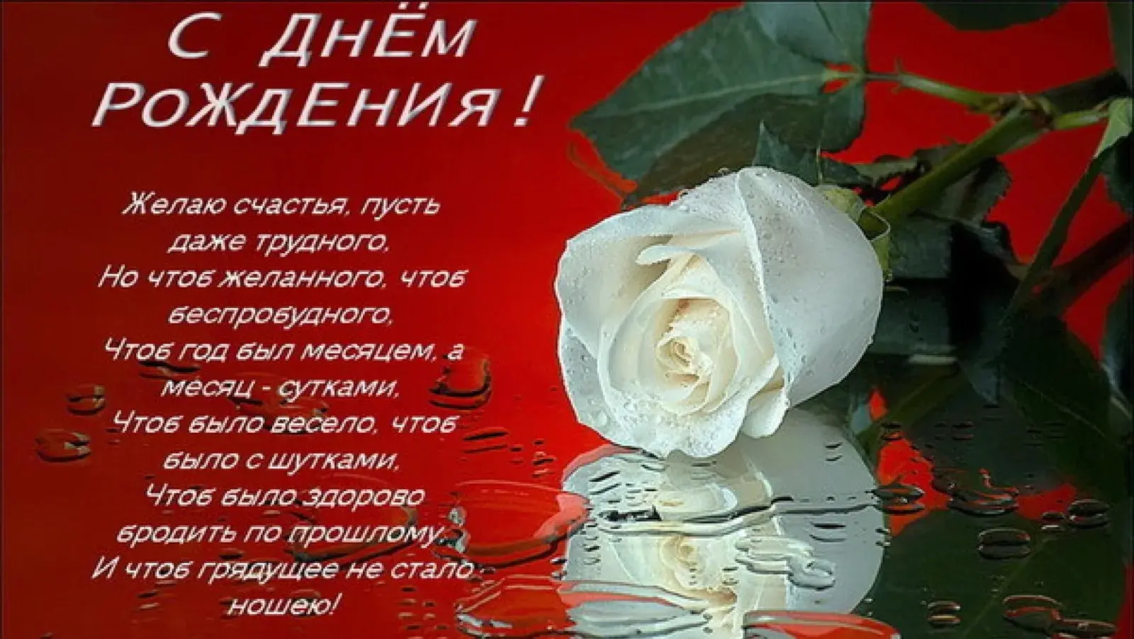 Открытка С белыми розами - Открытка с розой: С Днем Рождения! | Красивая открытка #36