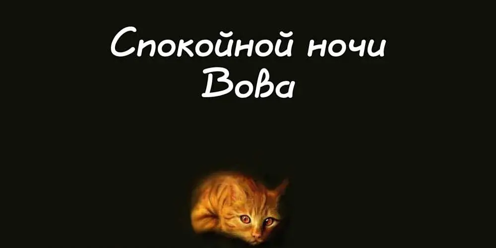 Открытка открытки с именем Владимир - Рыжий котенок на открытке. Поздравления с праздником. | Красивая открытка #59