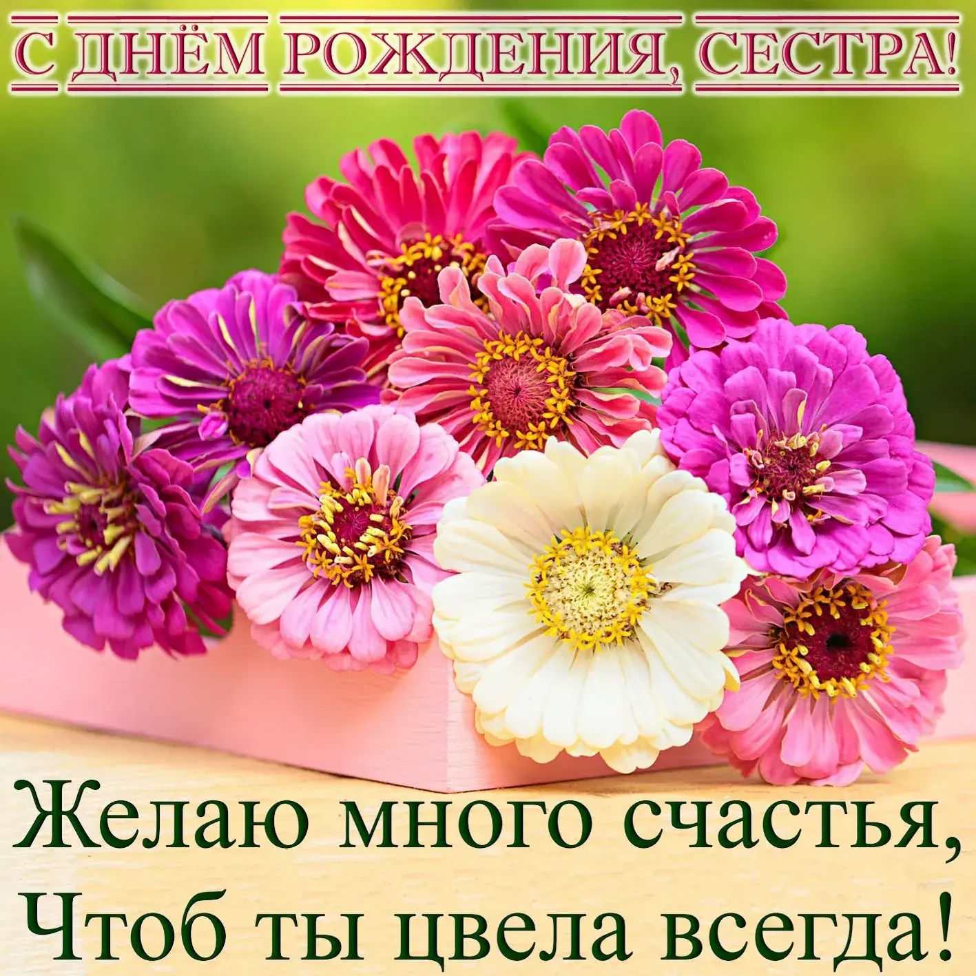 Открытка с днём рождения сестра - Полевые цветы: нежная открытка с днем рождения | Красивая открытка #14