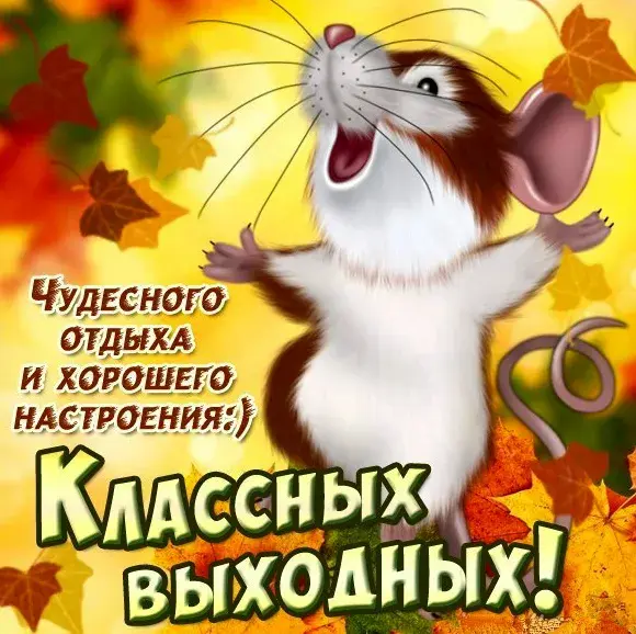 Открытка Хороших выходных - Открытка с белкой: яркие листья, поздравление с выходными | Красивая открытка #10