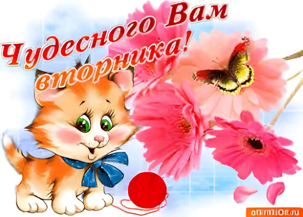 Открытка Открытки на вторник - Открытка с котенком и клубком | Красивая открытка #35
