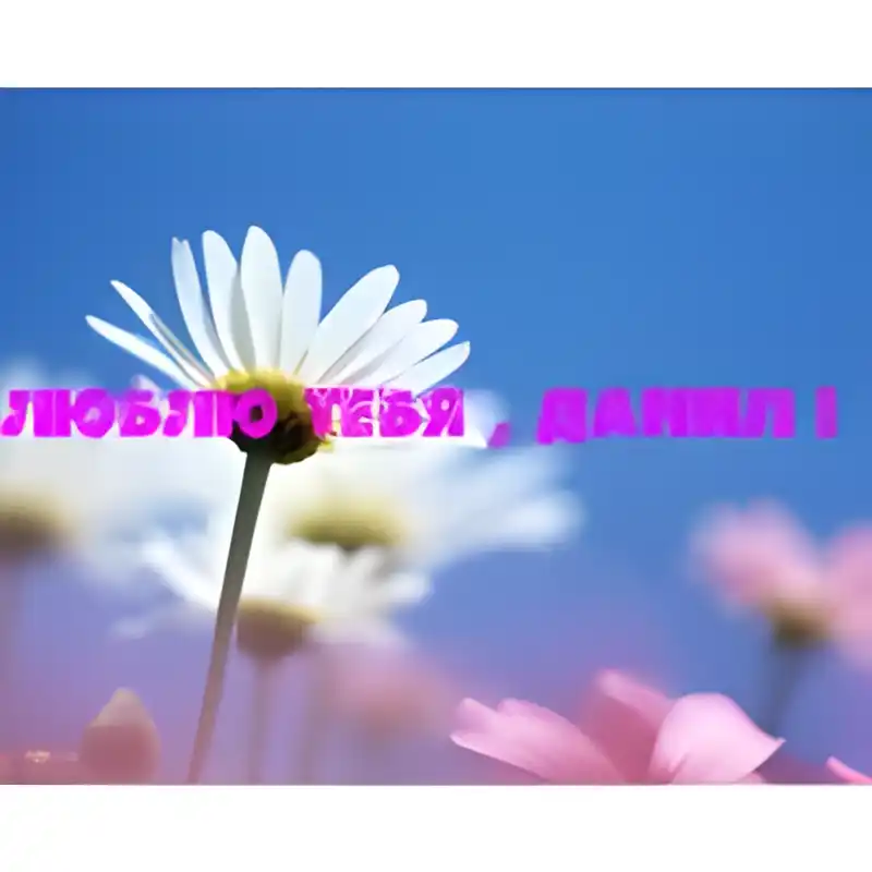 Открытка Открытки с именем Даниил/Данил - Полевые цветы: ромашки и вишни. Открытка | Красивая открытка #188